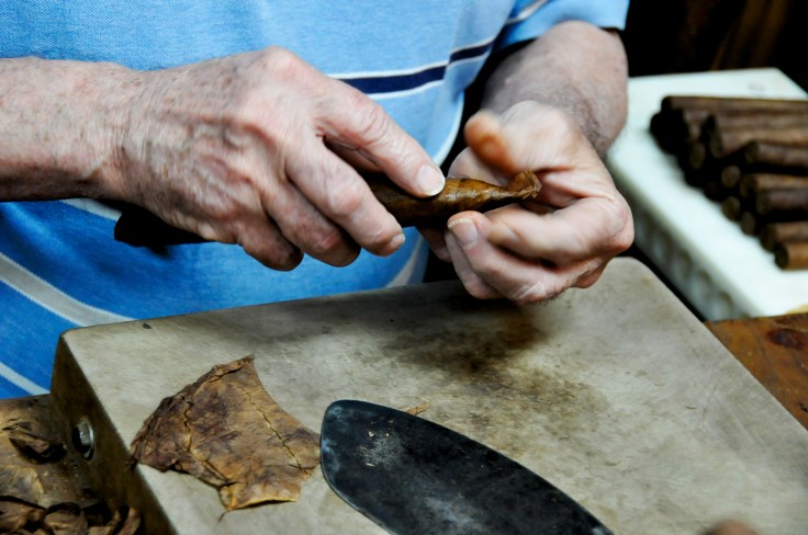 Rolling a cigar in Little Havana