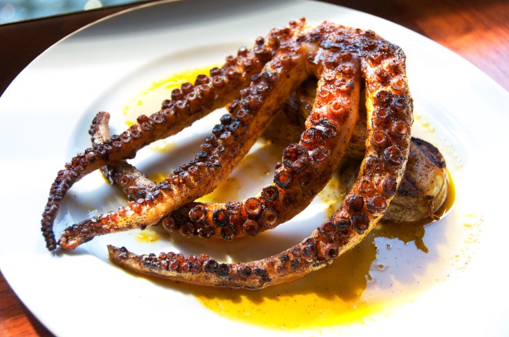 grilled octopus