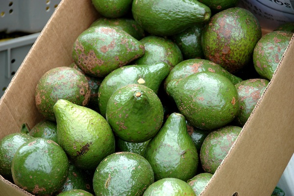 2041433654_c2b868ff51_o