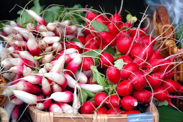 2041467052_baa38f2e20_o