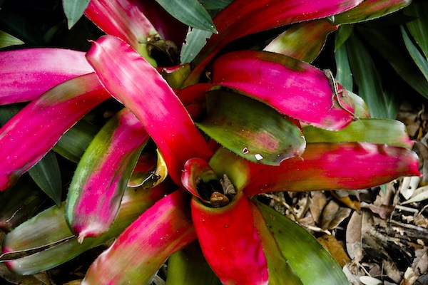 3934228727_a0bee133fc_o