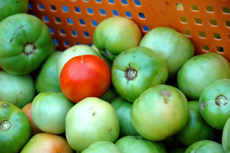 1343415792_4d850c66f0_o