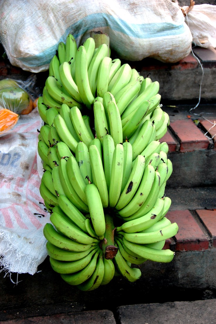 1859150952_dde016ee4f_o