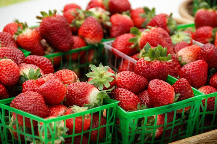 Strawberries are a hit!