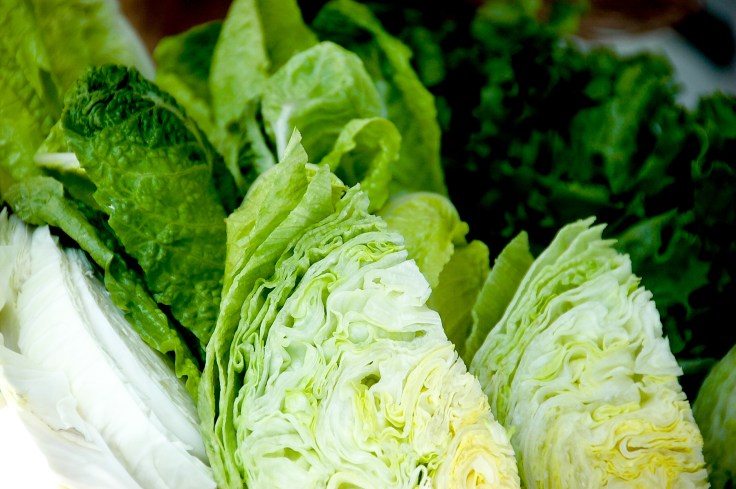 cabbage never looked so good