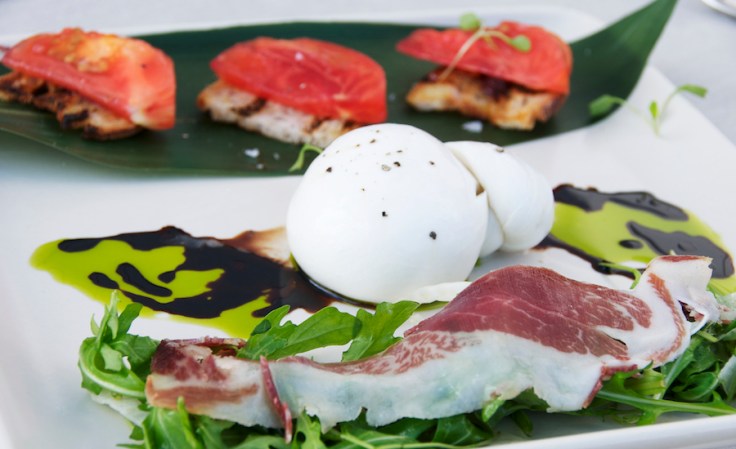 bur rata with para negra