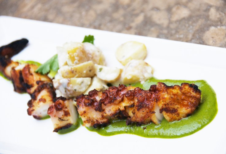 Grilled Octopus