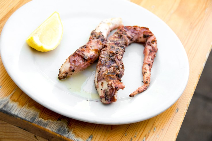 grilled octopus