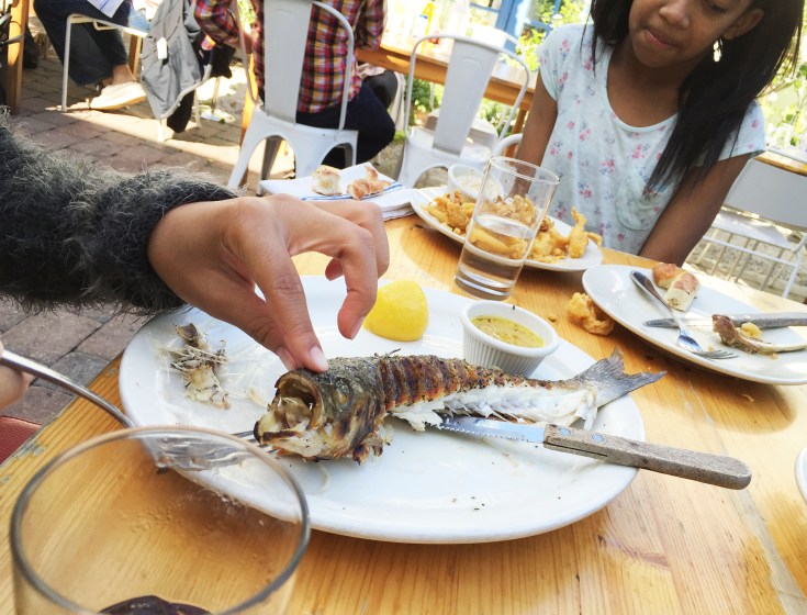 playing with the fish