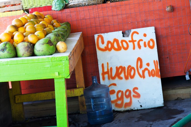 coco frio and huevos criollos