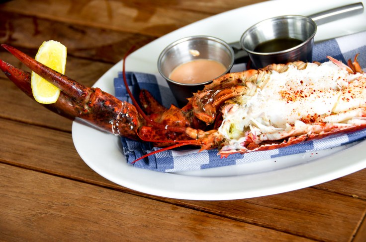 maine lobster cocktail 2