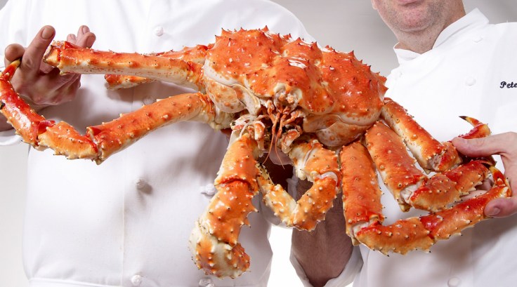 The Chef with his favorite, King Crab. Photo by Red