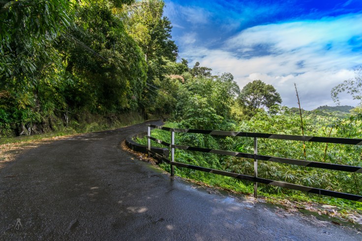 16219602477_c2f6cc5737_h