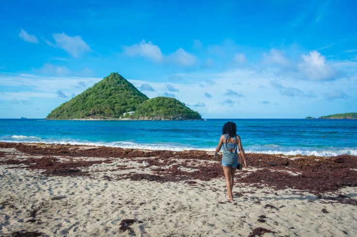 20443144711_a8e8aa0c39_h