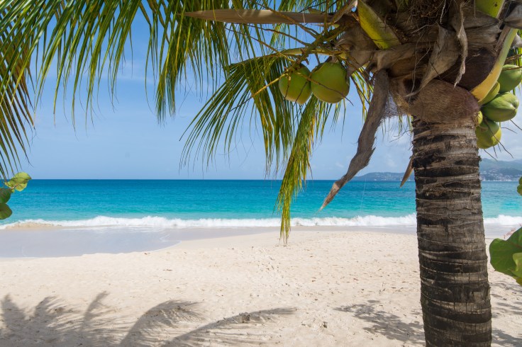 21923633518_25de96d397_o