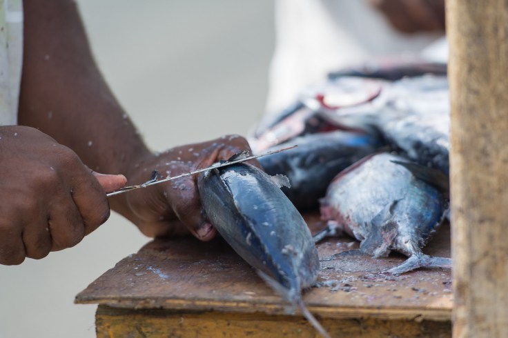 21953870792_cac02bcedc_h