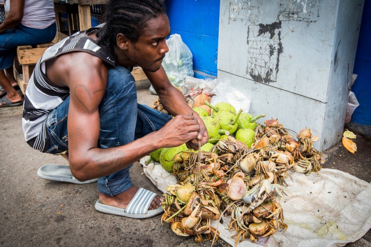 23166173176_2f1761a704_h