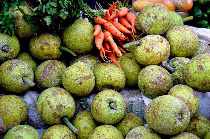 Breadfruit