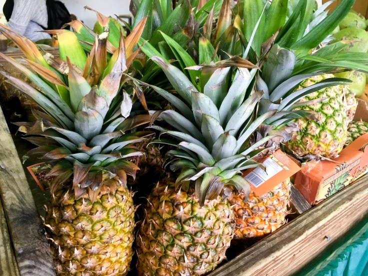 pienapples 2