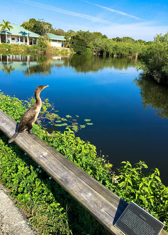 16940948676_7300fc5598_c