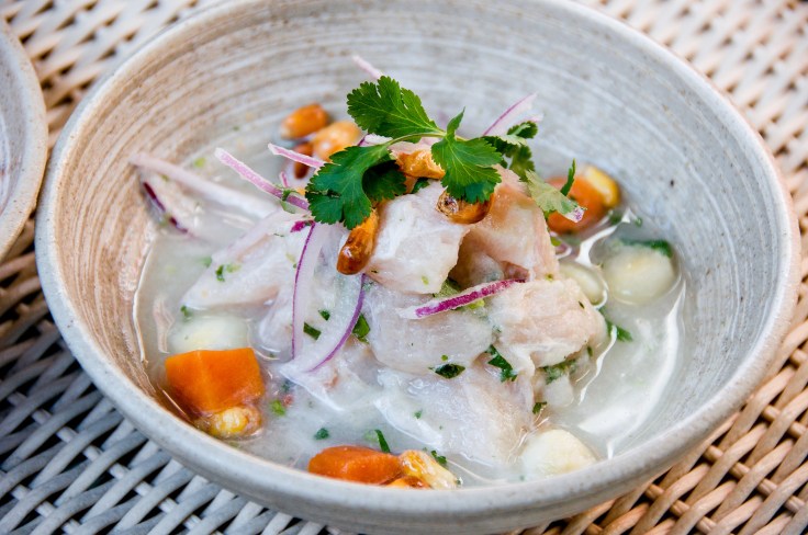 Traditional Ceviche