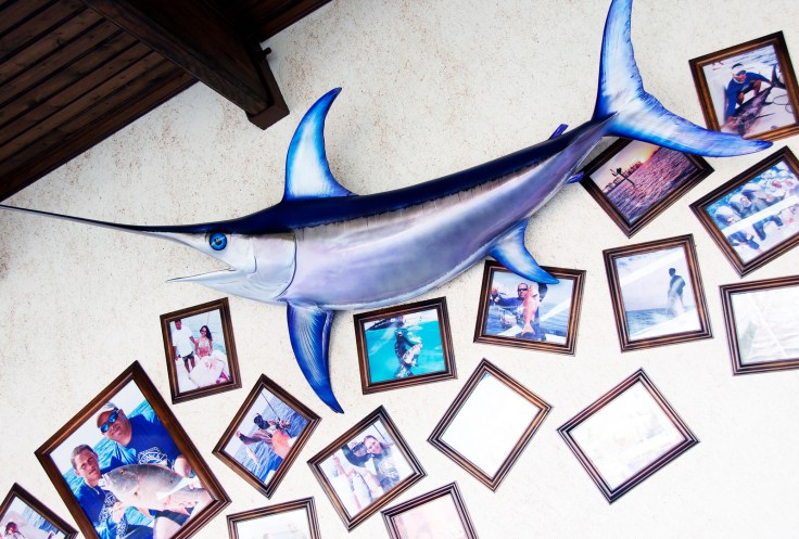 14029276882_c8adf5ed0a_h