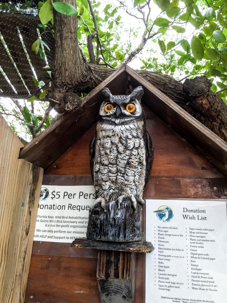 wild bird sanctuary 13