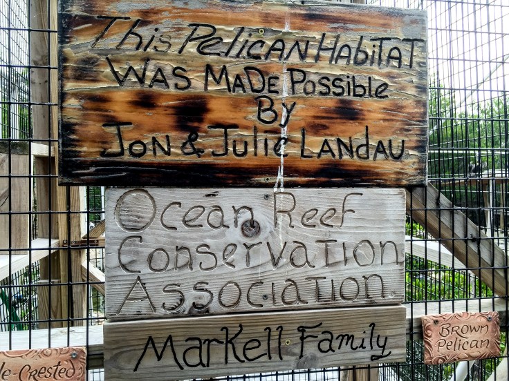 wild bird sanctuary 8