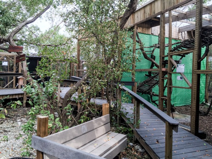 wild bird sanctuary 9