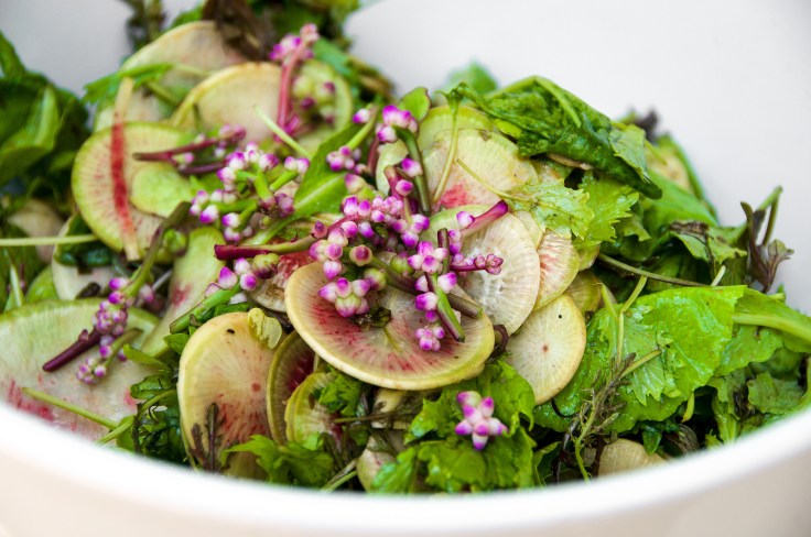 Brassica Green Salad with Shaved Radishes