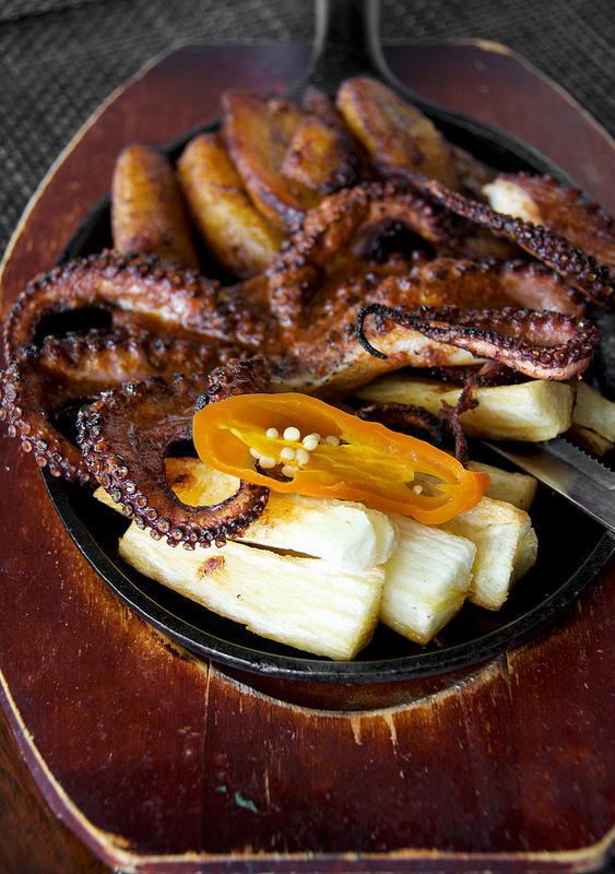 grilled octopus