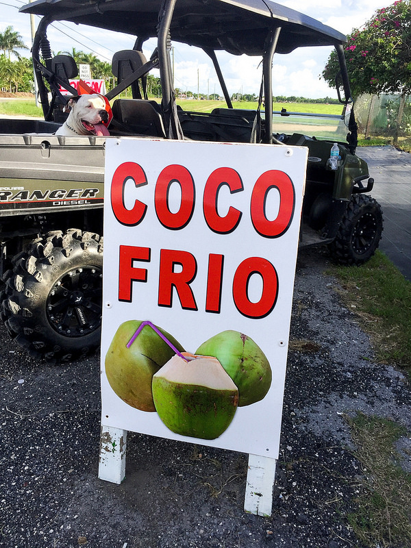 The sell fresh coconut water too