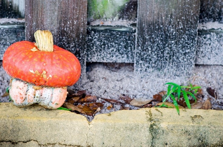 30336945806_ae0ae2f312_h