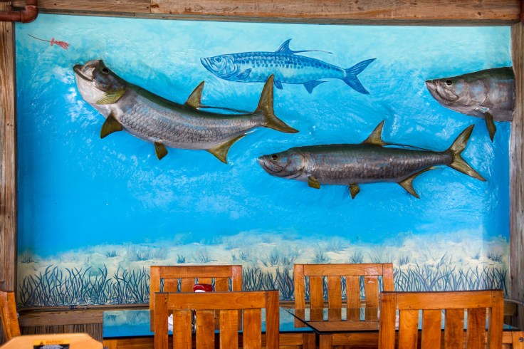 fish-on-the-wall