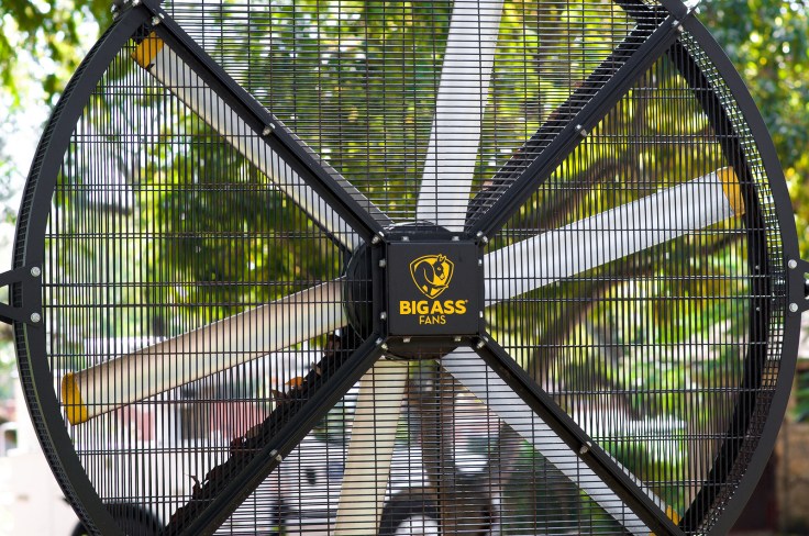 I want a BIGASS fan for my room!