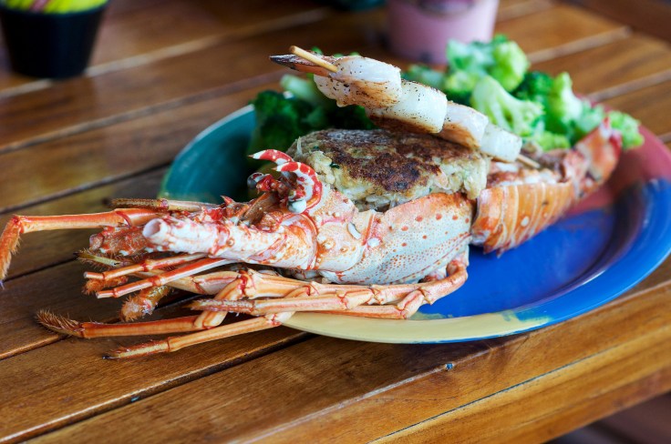 stuffed-florida-lobster