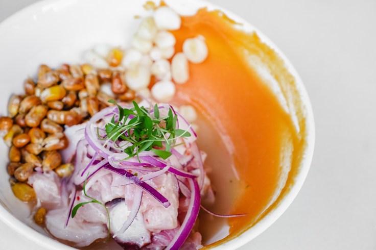 ceviche mixto 2 (1 of 1)